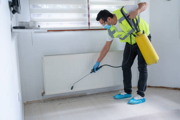 Best Pest Exclusion Services  in Cottonwood, AZ